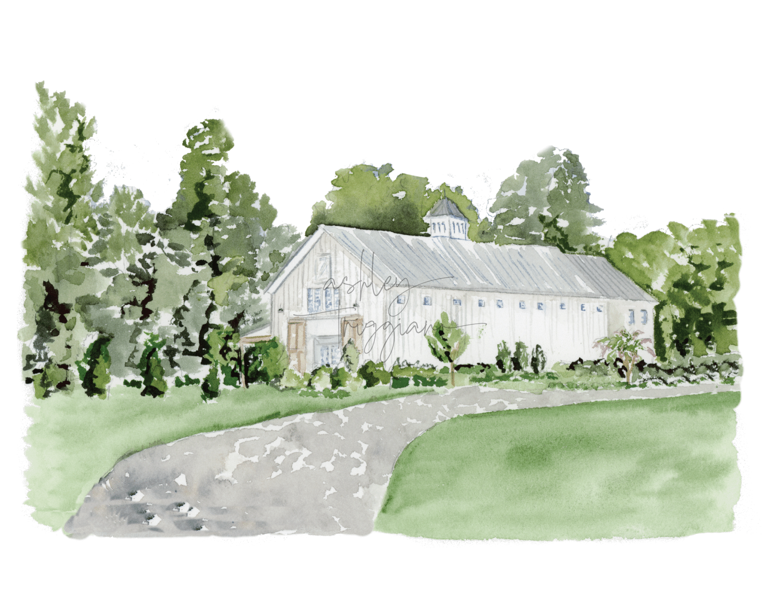 Barn of Chapel Hill Watercolor Illustration