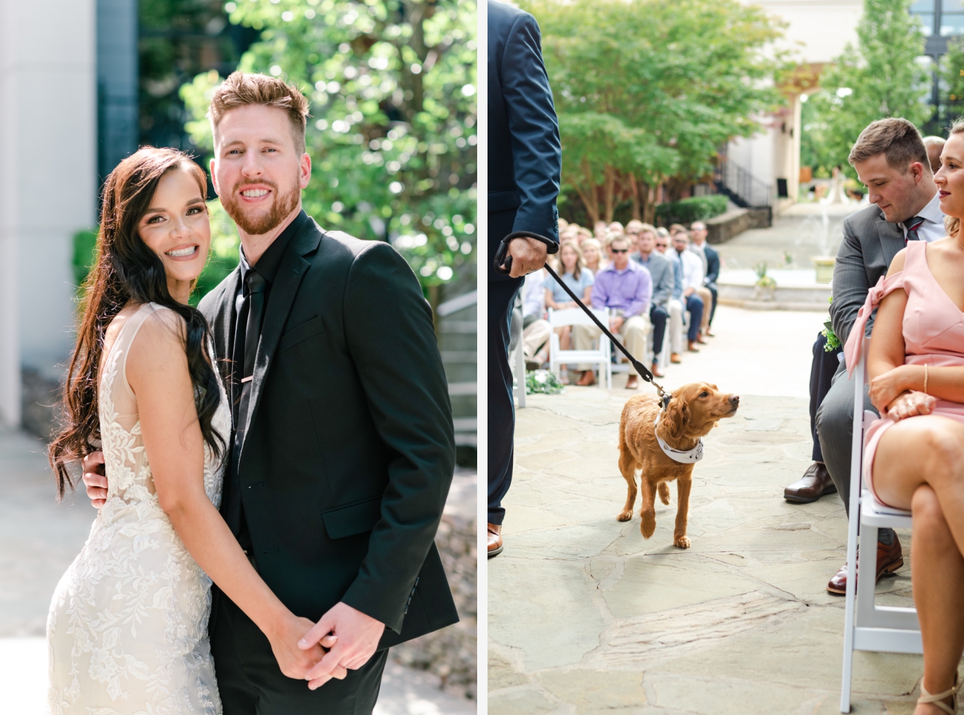 dog ringbearer at summer wedding