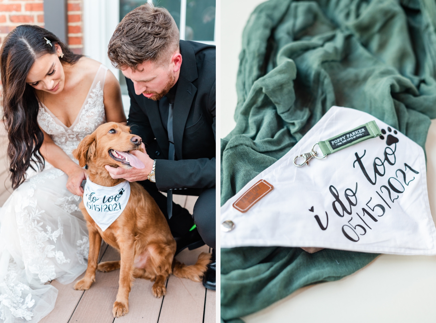 dog ringbearer at summer wedding