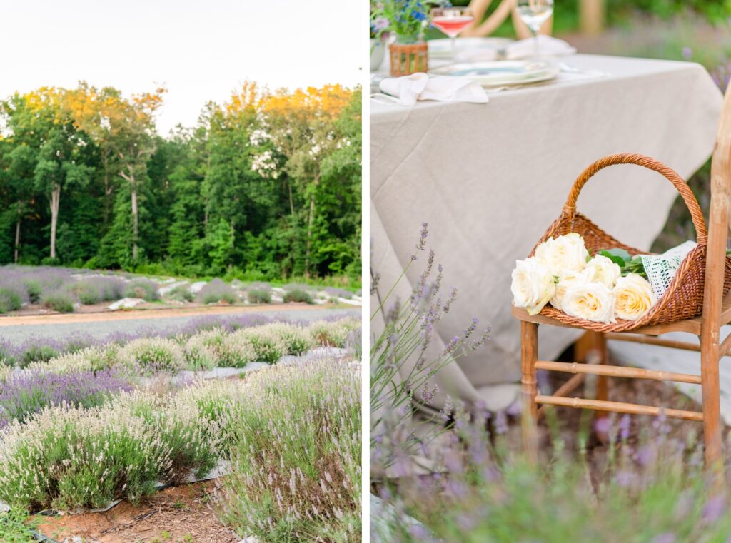 Lavender Oaks - Chapel Hill, NC Wedding Venue