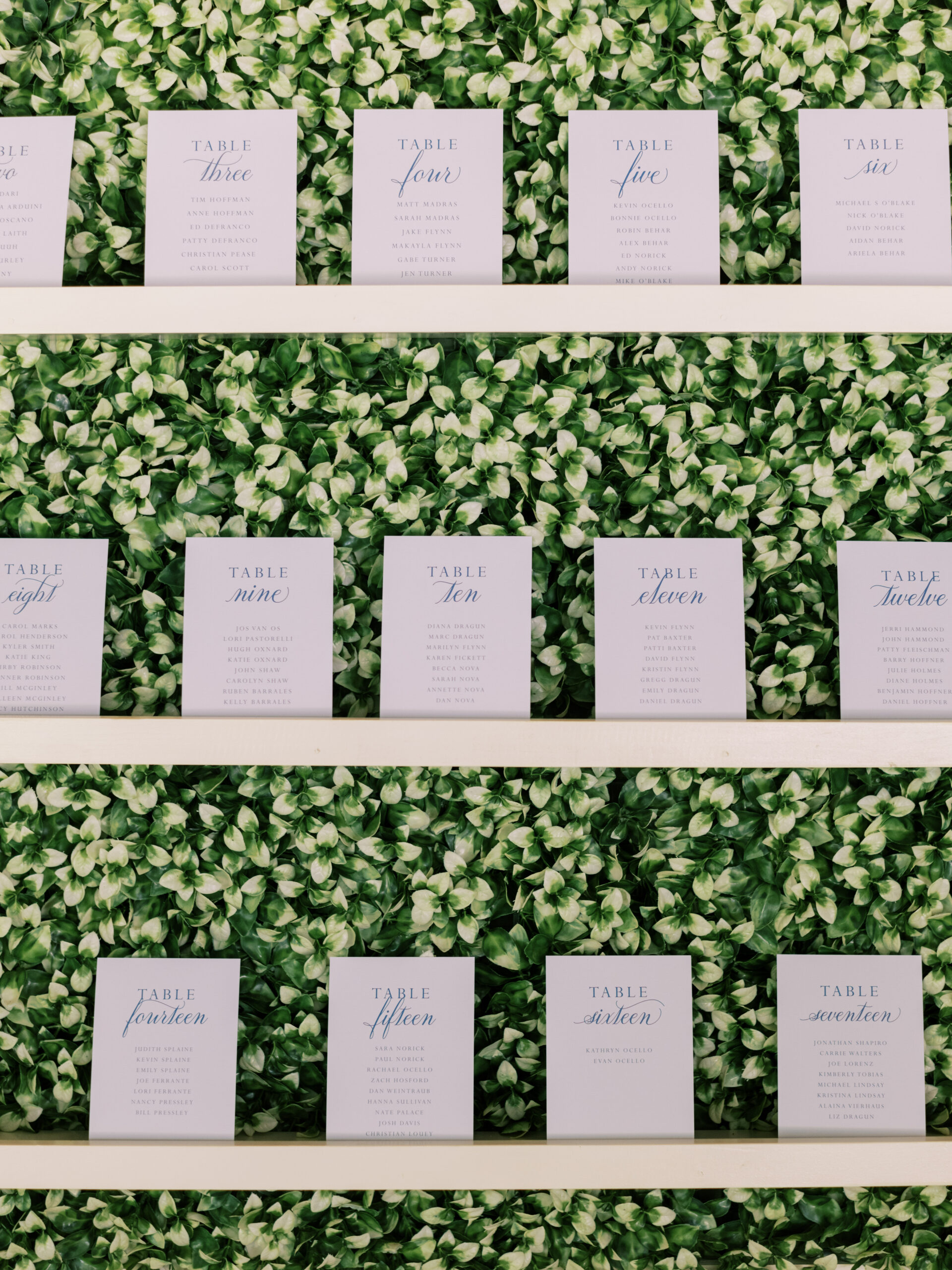 seating chart paper on boxwood wall