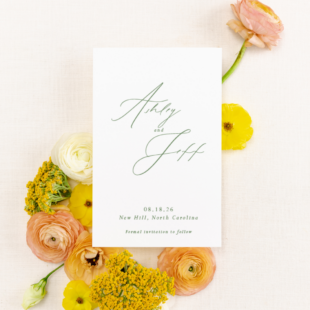 The Modern Calligraphy Collection Save the Date